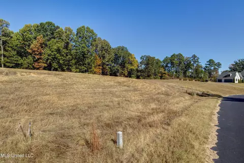 5665 Ginners Ln, Hernando, MS 38632 photo 13