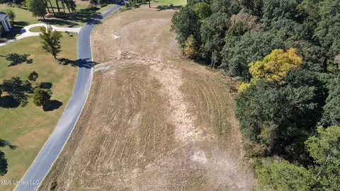 5665 Ginners Ln, Hernando, MS 38632 photo 7