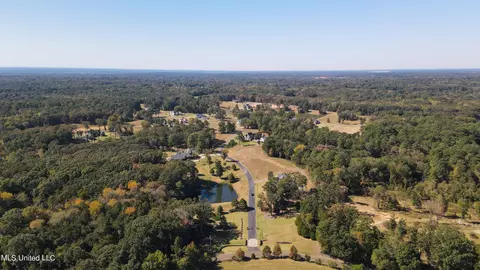 5665 Ginners Ln, Hernando, MS 38632 photo 11