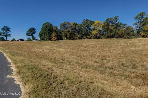 5665 Ginners Ln, Hernando, MS 38632 photo 14