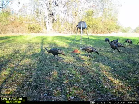 1625 Barnes Rd, Canton, MS 39046 photo 3
