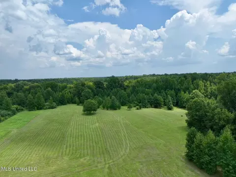 1625 Barnes Rd, Canton, MS 39046 photo 35