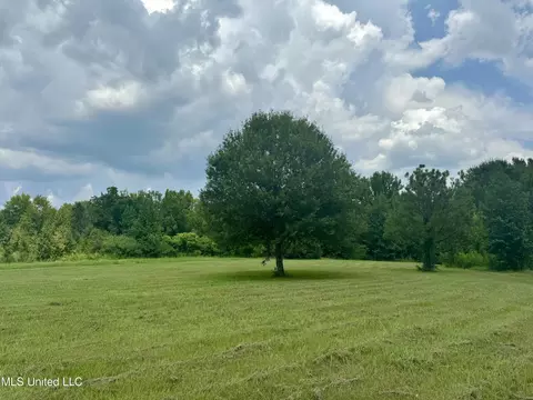 1625 Barnes Rd, Canton, MS 39046 photo 23