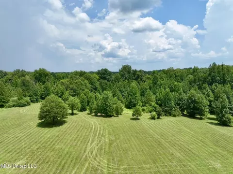1625 Barnes Rd, Canton, MS 39046 photo 41