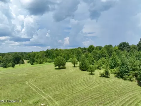 1625 Barnes Rd, Canton, MS 39046 photo 50