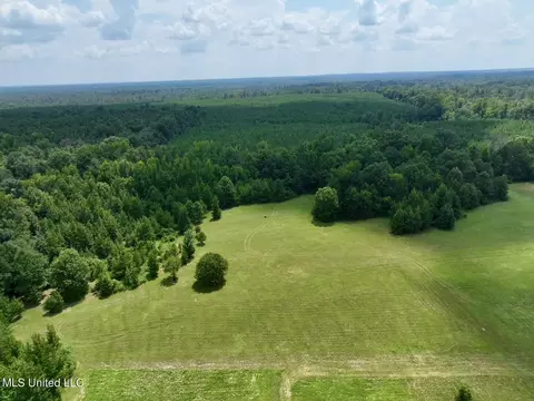 1625 Barnes Rd, Canton, MS 39046 photo 31