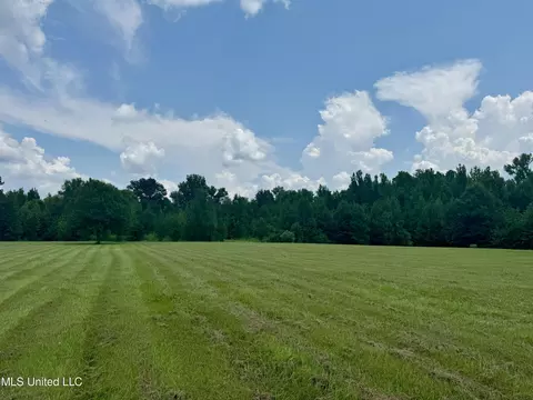 1625 Barnes Rd, Canton, MS 39046 photo 15