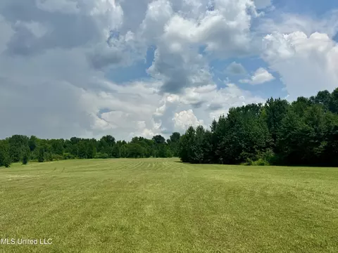 1625 Barnes Rd, Canton, MS 39046 photo 34