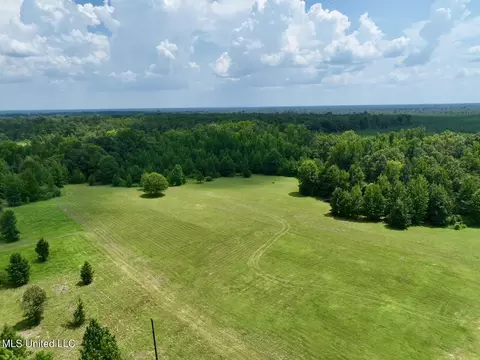 1625 Barnes Rd, Canton, MS 39046 photo 39