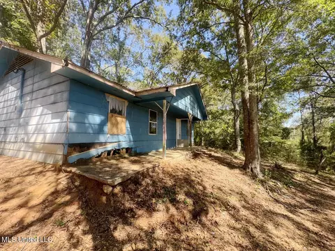 120 Doris Mccallum Rd, Magee, MS 39111 photo 2