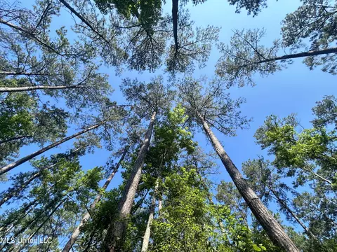 Nolan Felder Road, Magnolia, MS 39652