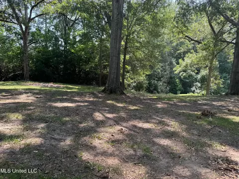 1060 Beech St, Wesson, MS 39191 photo 21