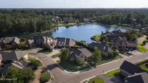 View/Area - 120 Latter Rayne Dr, Flowood, MS 39232 photo 1 of 7