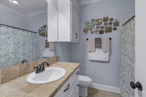 Bath - 141 Westerly Pl, Madison, MS 39110 photo 2 of 2
