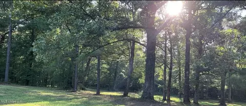 3082 Star Rd, Florence, MS 39073 photo 5