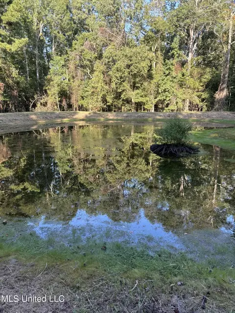 3082 Star Rd, Florence, MS 39073 photo 8