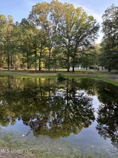 3082 Star Rd, Florence, MS 39073 photo 7