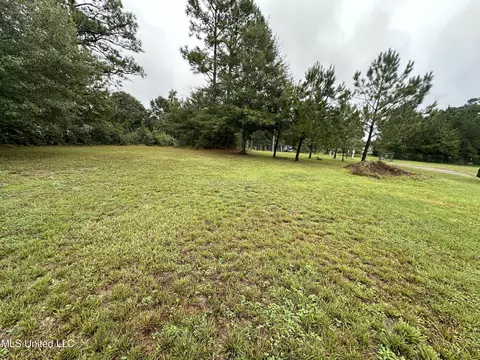 Percy Oneal Rd, Mchenry, MS 39561 photo 7