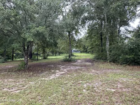 Percy Oneal Rd, Mchenry, MS 39561 photo 4