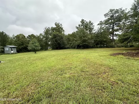 Percy Oneal Rd, Mchenry, MS 39561 photo 9