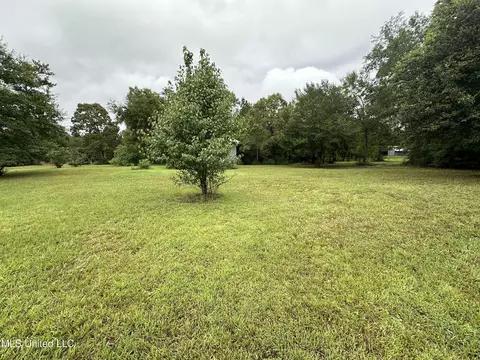 Percy Oneal Rd, Mchenry, MS 39561 photo 6