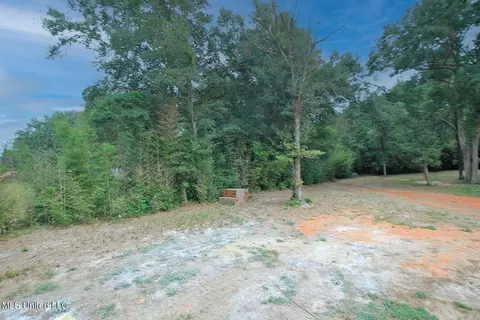 121 E V Lowery Rd, Lucedale, MS 39452 photo 26