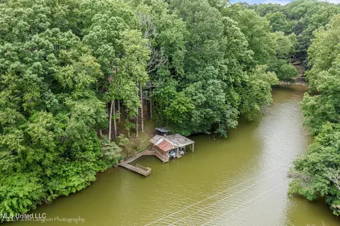 View/Area - 3620 Councils Fiord, Hernando, MS 38632 photo 3 of 3