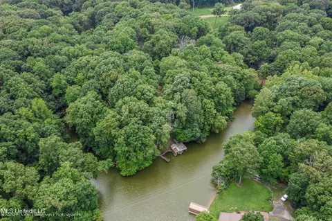 View/Area - 3620 Councils Fiord, Hernando, MS 38632 photo 2 of 3