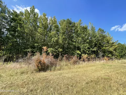 72 Us 72, Falkner, MS 38629