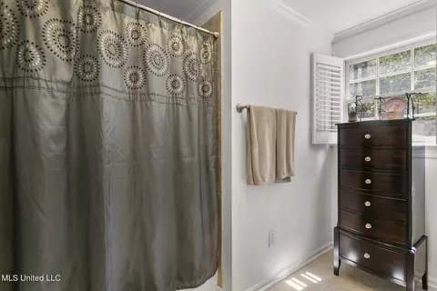 Bath - 316 Dover Ln, Madison, MS 39110 photo 5 of 6