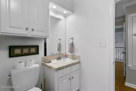 Bath - 316 Dover Ln, Madison, MS 39110 photo 4 of 6