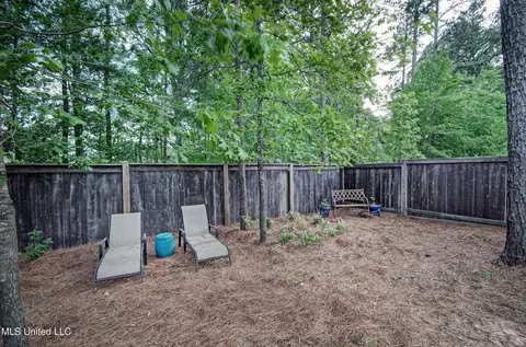 103 St Croix Ln, Madison, MS 39110 photo 13