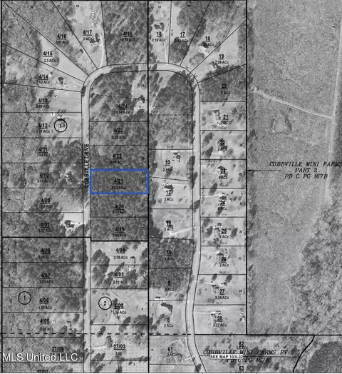 Cobbville, Canton, MS 39046 photo 2