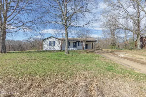 Exterior - 312 Thunderbird Dr, Hernando, MS 38632 photo 5 of 6