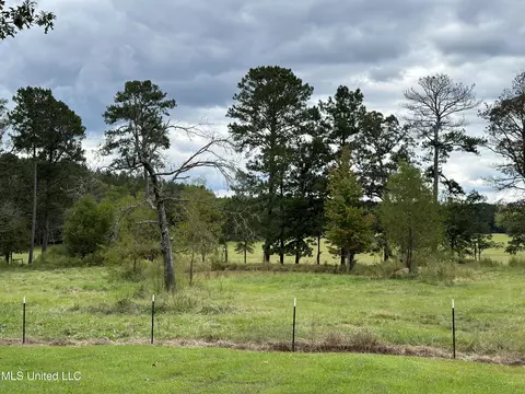 Exterior - 450 Cato Rd, Brandon, MS 39042 photo 17 of 17