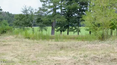 Other - 450 Cato Rd, Brandon, MS 39042 photo 28 of 32