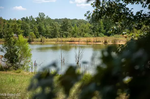 S South Union Road, Eupora, MS 39744