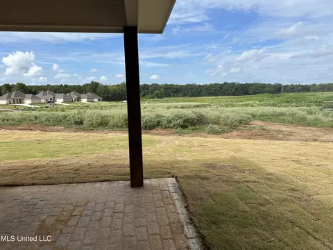 307 Chapel Crest Cv, Madison, MS 39110 photo 29