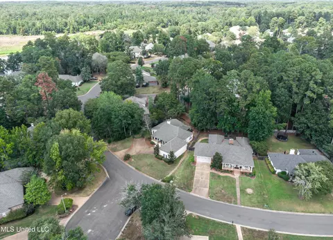 View/Area - 436 Ridge Cir, Brandon, MS 39047 photo 9 of 10