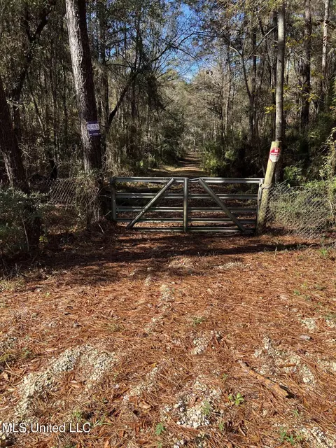 Nhn George Wise Road, Carriere, MS 39426