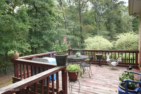 3686 Shelby Cv, Hernando, MS 38632 photo 29