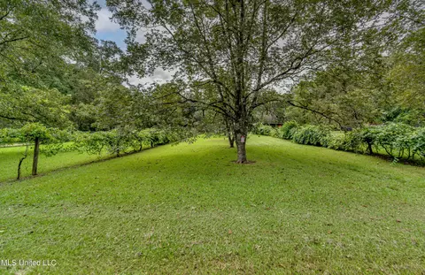 Exterior - 798 E Fourth Ave, Morton, MS 39117 photo 15 of 15