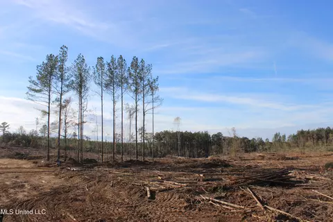 Firetower Road Road, Camden, MS 39045