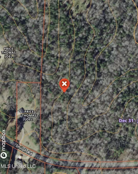 0 Shiloh Rd, Brandon, MS 39042 photo 4