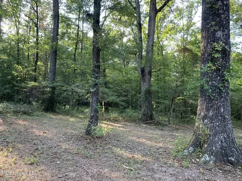 Star Road, Florence, MS 39073 photo 2