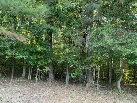 Star Road, Florence, MS 39073 photo 5