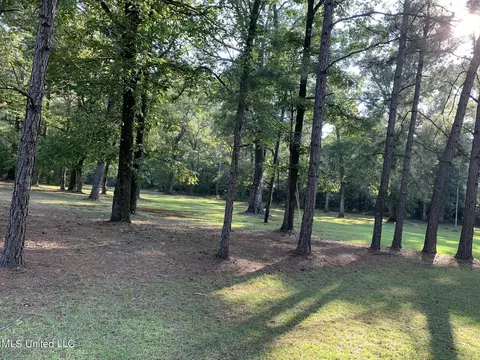 Star Road, Florence, MS 39073 photo 6