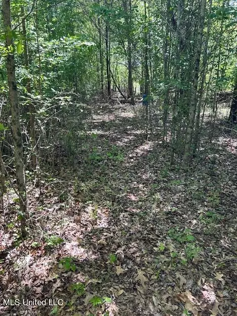 Cotton Loop, Sledge, MS 38670 photo 5