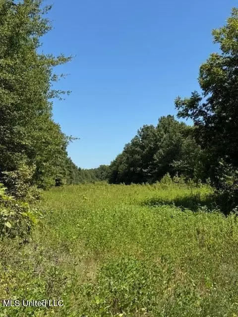 Cotton Loop, Sledge, MS 38670 photo 4