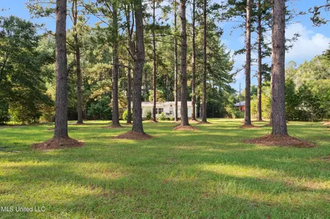 9317 Jim Ramsay Rd, Vancleave, MS 39565 photo 2